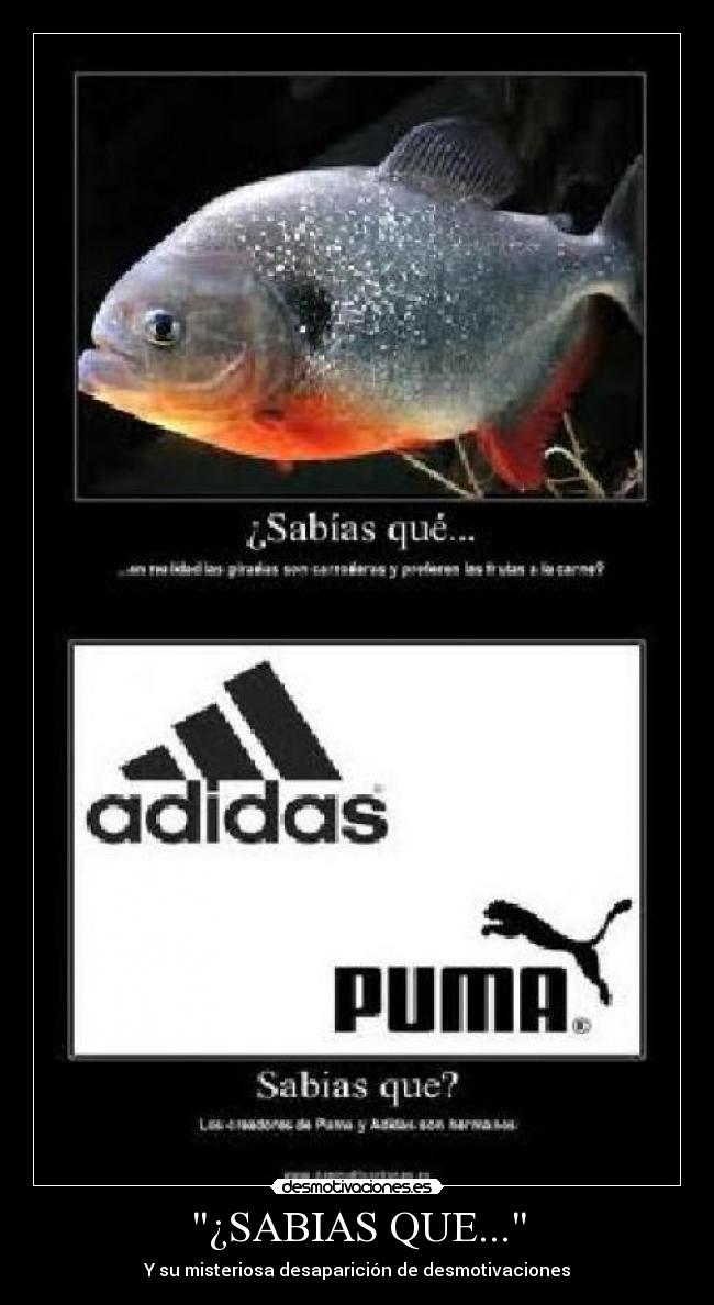 ¿SABIAS QUE... - Y su misteriosa desaparición de desmotivaciones