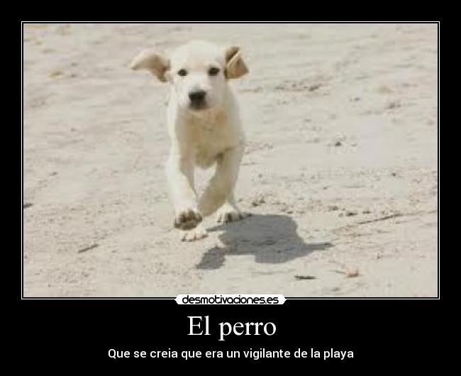 El perro - 