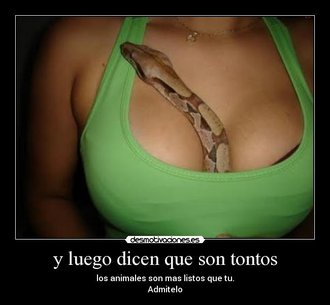 y luego dicen que son tontos - los animales son mas listos que tu.
Admitelo