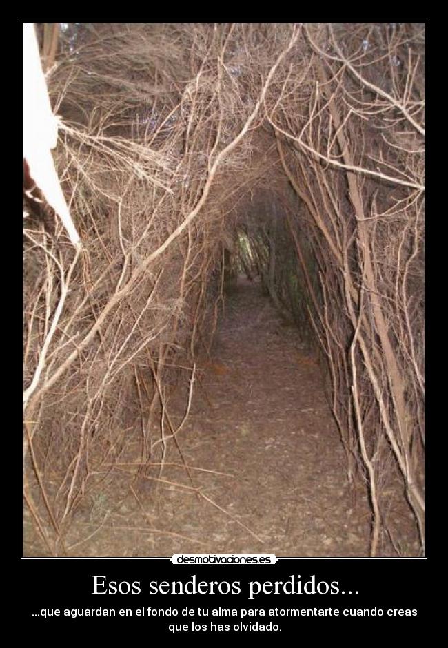 Esos senderos perdidos... -