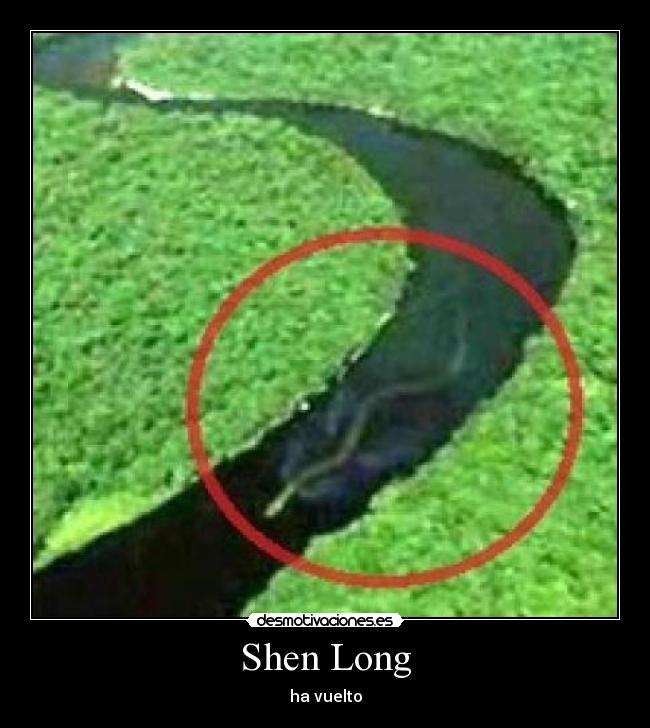 carteles shen long desmotivaciones