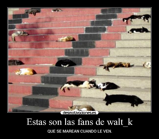 Estas son las fans de walt_k -