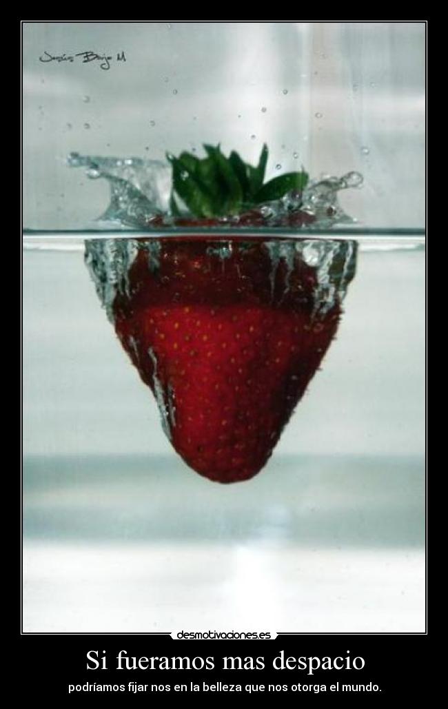 Si fueramos mas despacio - podríamos fijar nos en la belleza que nos otorga el mundo.