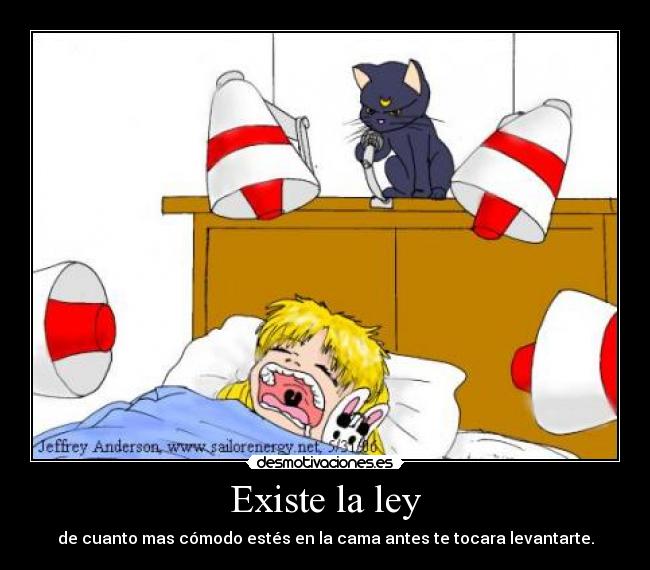 Existe la ley -