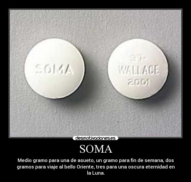 SOMA - 