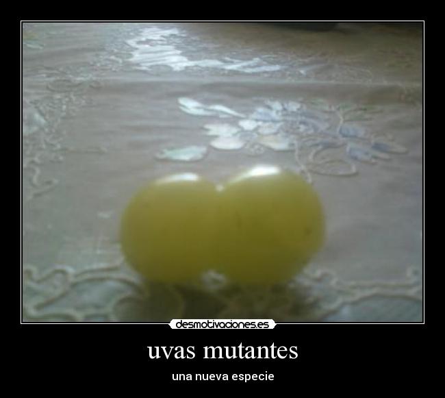 uvas mutantes -