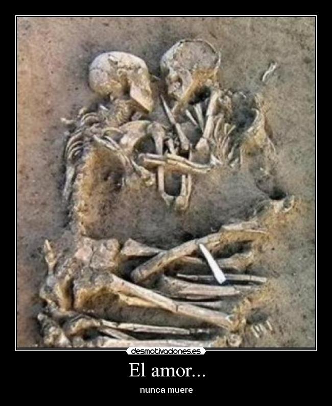 El amor... - 