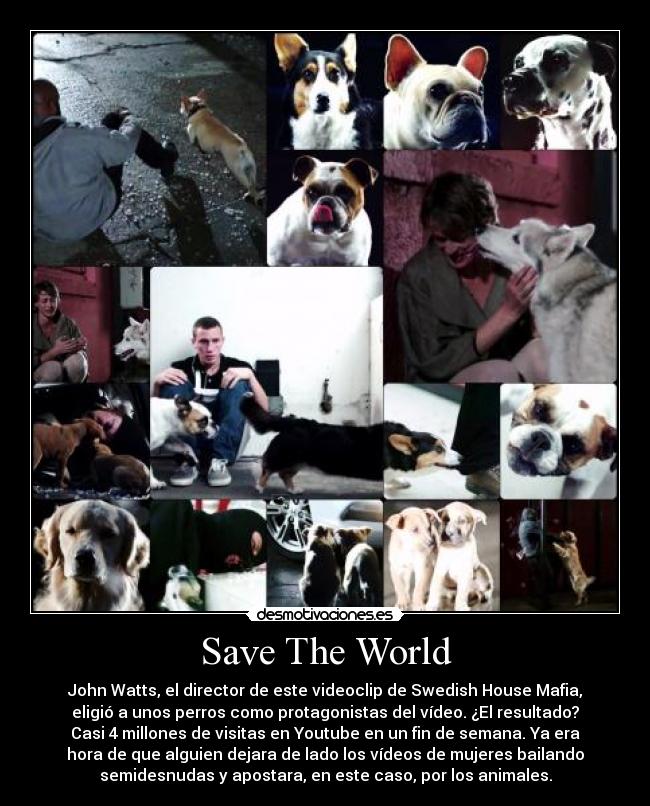 Save The World - John Watts, el director de este videoclip de Swedish House Mafia,
eligió a unos perros como protagonistas del vídeo. ¿El resultado?
Casi 4 millones de visitas en Youtube en un fin de semana. Ya era
hora de que alguien dejara de lado los vídeos de mujeres bailando
semidesnudas y apostara, en este caso, por los animales.