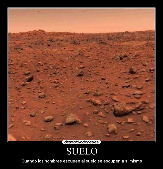 SUELO -
