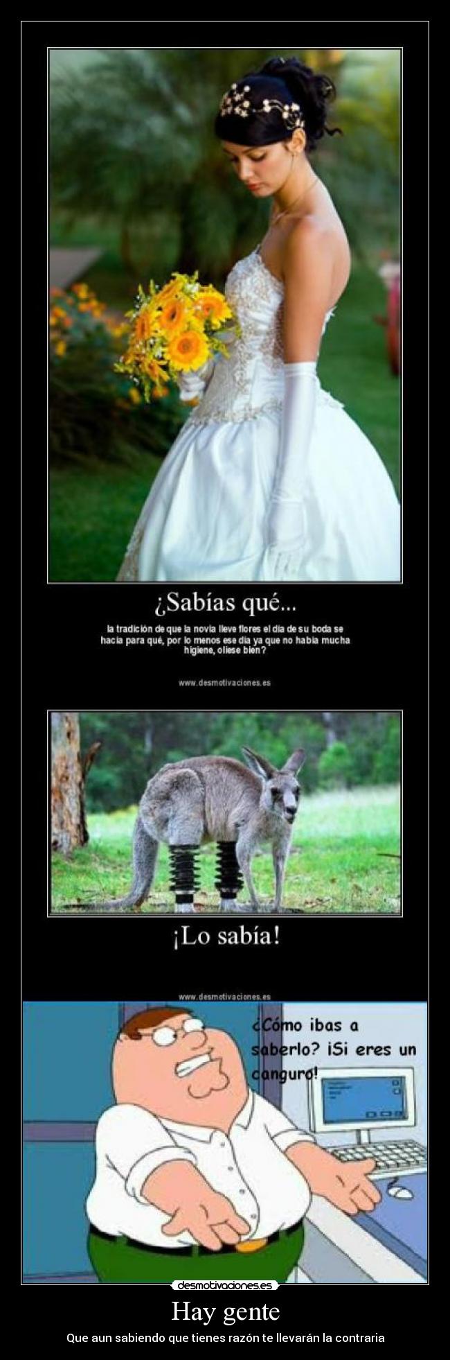 carteles peter desmotivaciones