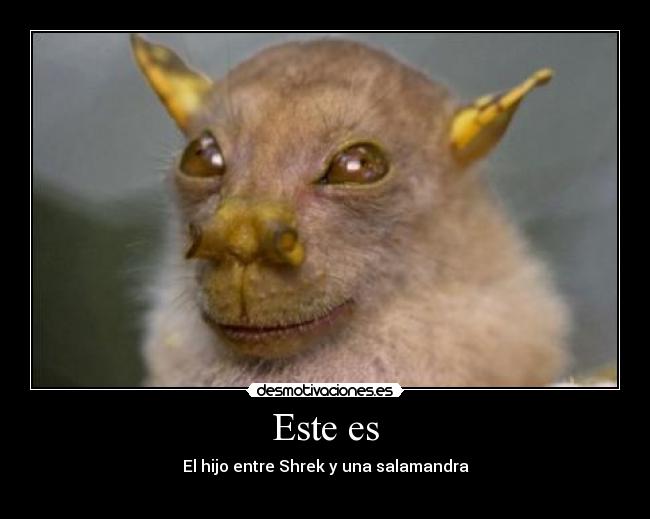 Este es - El hijo entre Shrek y una salamandra
