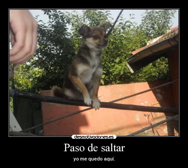 Paso de saltar - 