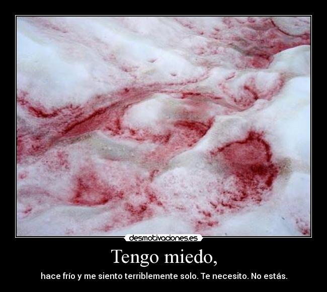 Tengo miedo, - hace frío y me siento terriblemente solo. Te necesito. No estás.