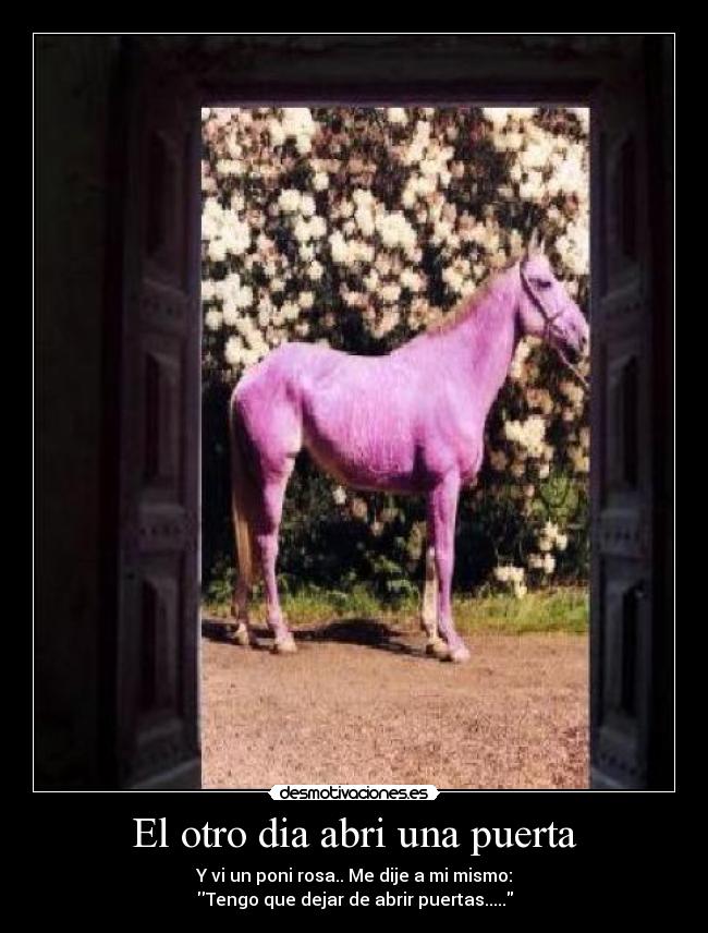 El otro dia abri una puerta -
