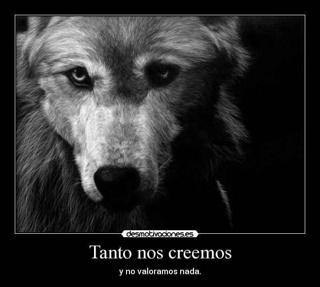 Tanto nos creemos -