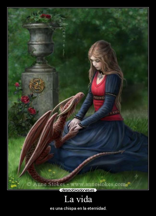 carteles vida vida desmotivaciones