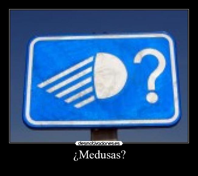 ¿Medusas? -