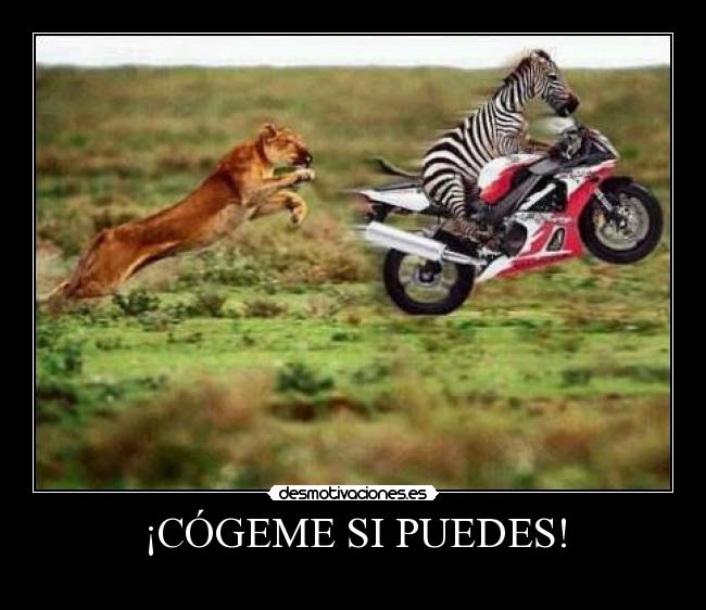 ¡CÓGEME SI PUEDES! -