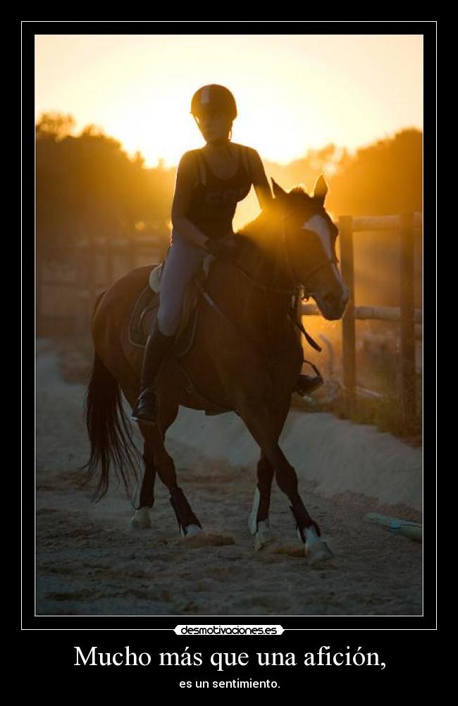 Mucho más que una afición, - 