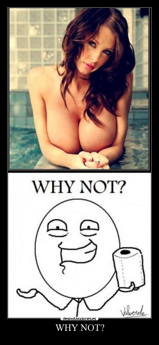 WHY NOT? - 