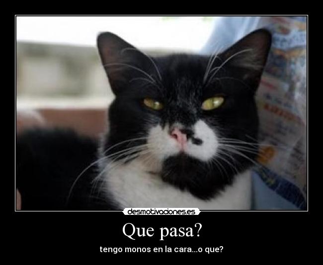 Que pasa? -