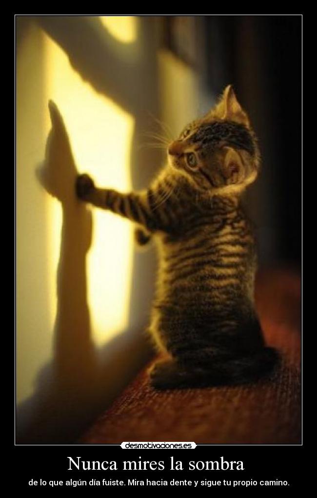 Nunca mires la sombra -