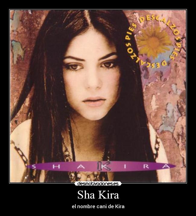 Sha Kira - el nombre cani de Kira