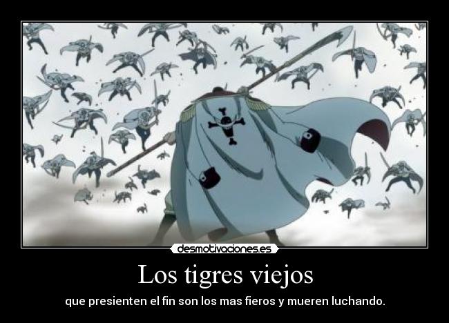 Los tigres viejos - que presienten el fin son los mas fieros y mueren luchando.