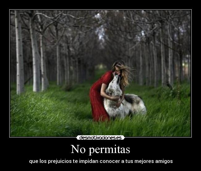 No permitas - que los prejuicios te impidan conocer a tus mejores amigos