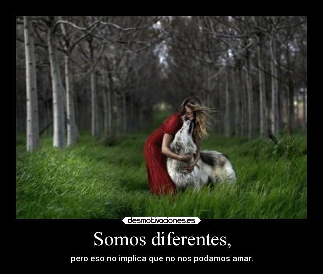 Somos diferentes, - pero eso no implica que no nos podamos amar.