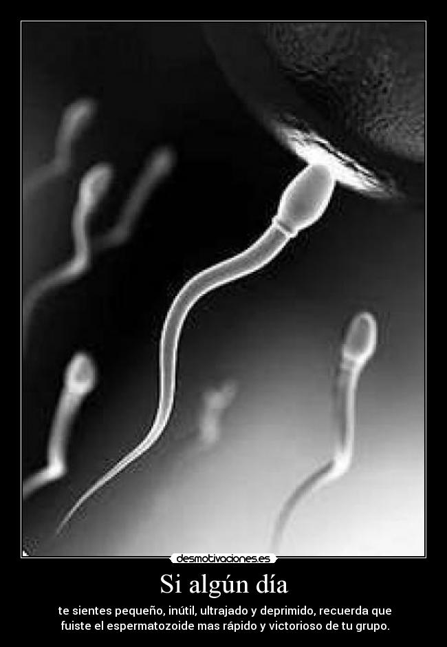 Si algún día -   te sientes pequeño, inútil, ultrajado y deprimido, recuerda que 
 fuiste el espermatozoide mas rápido y victorioso de tu grupo.