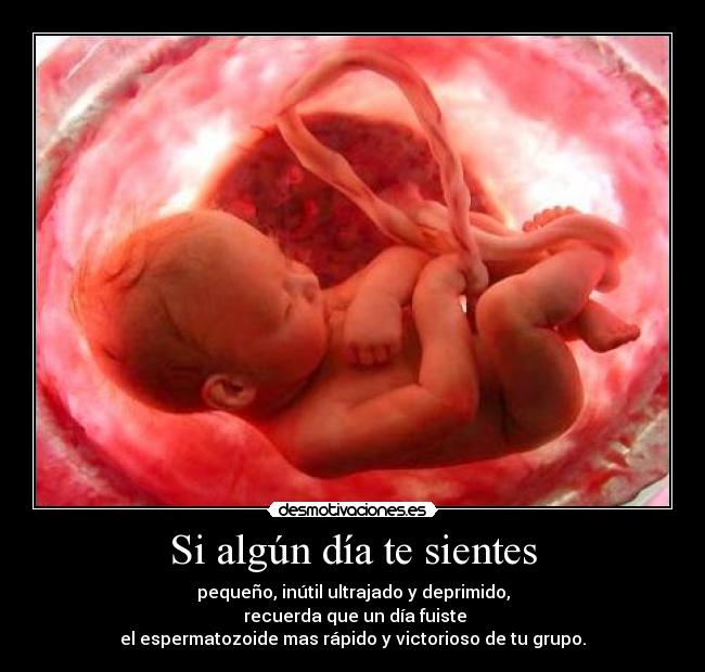 Si algún día te sientes - pequeño, inútil ultrajado y deprimido,
recuerda que un día fuiste
el espermatozoide mas rápido y victorioso de tu grupo.