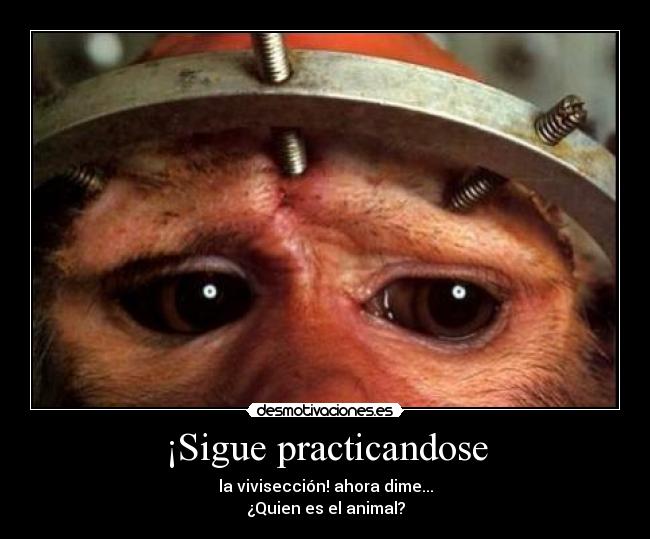 ¡Sigue practicandose - la vivisección! ahora dime...
¿Quien es el animal?