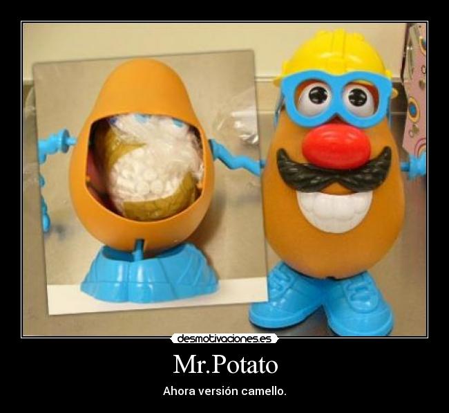 Mr.Potato - Ahora versión camello.