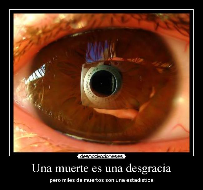 Una muerte es una desgracia - 