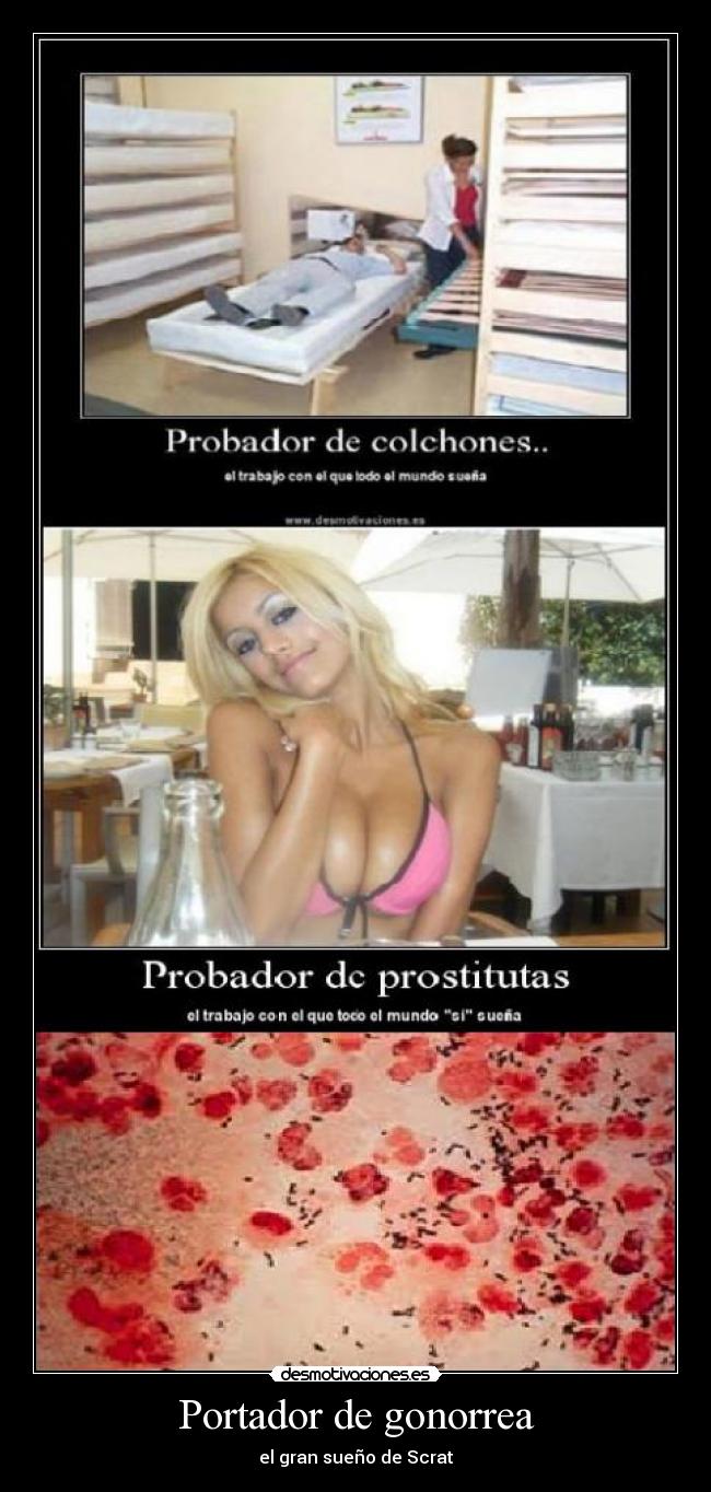 Portador de gonorrea -