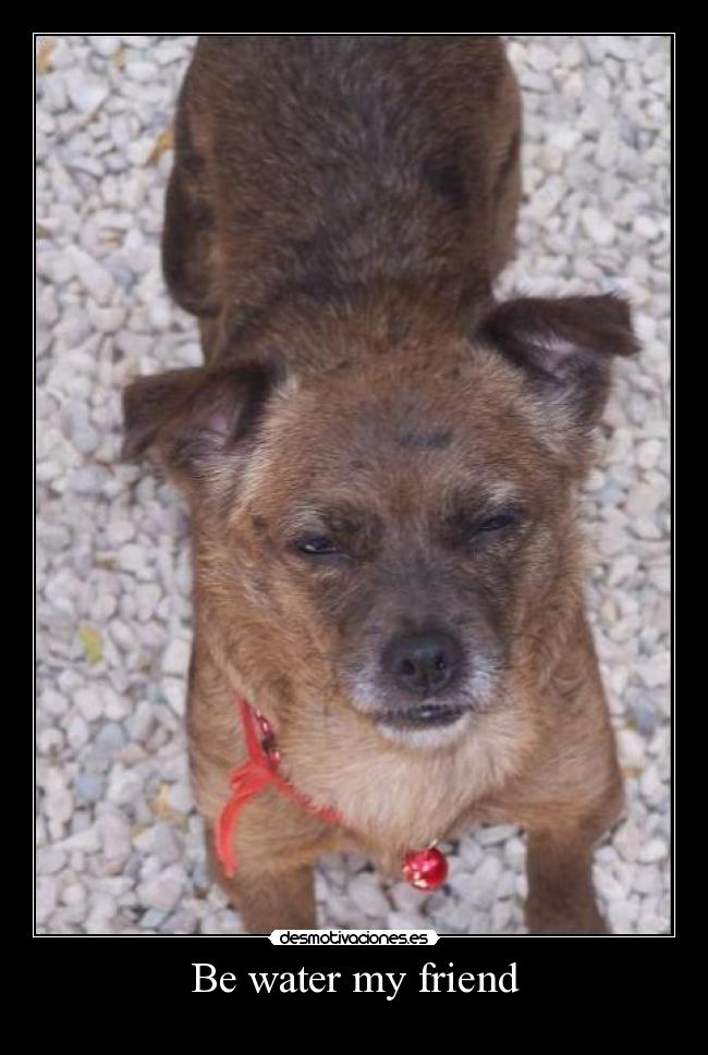 Be water my friend - 