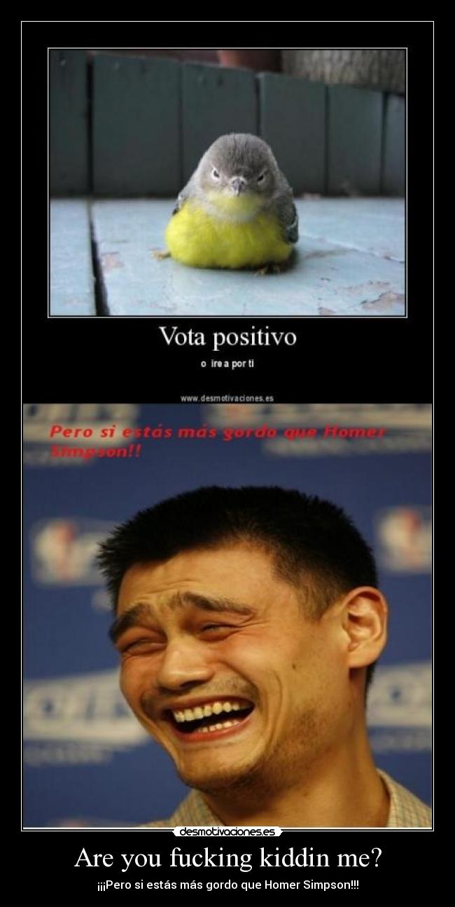 Are you fucking kiddin me? -