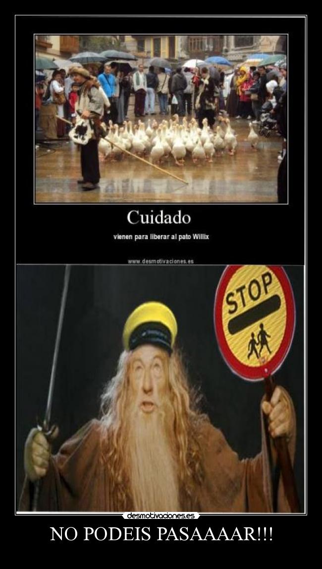NO PODEIS PASAAAAR!!! -