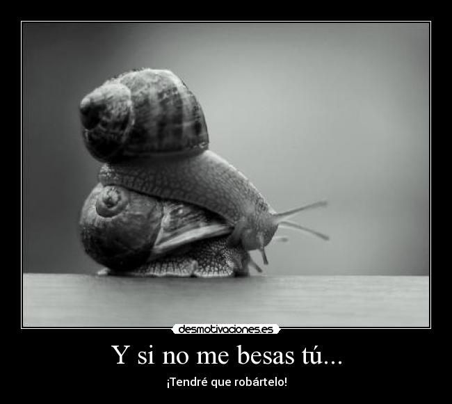 Y si no me besas tú... - ¡Tendré que robártelo!