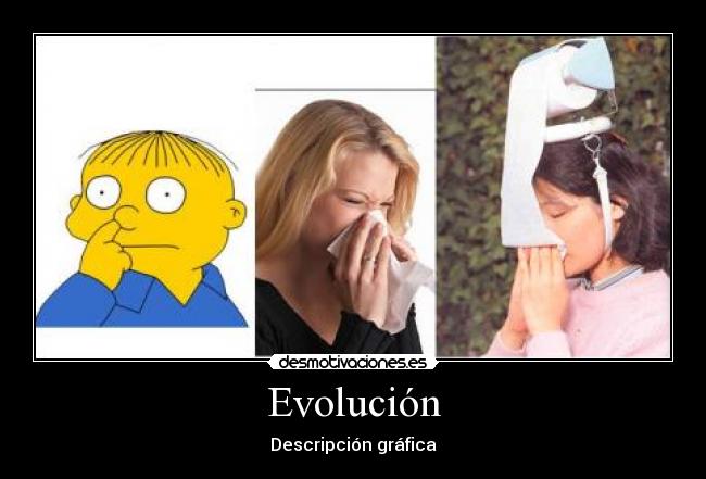 Evolución - 