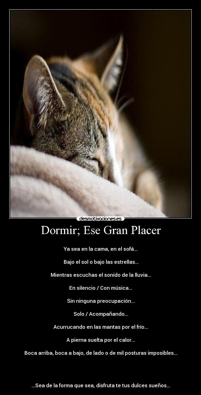 Dormir; Ese Gran Placer - 
Ya sea en la cama, en el sofá...

 Bajo el sol o bajo las estrellas...

Mientras escuchas el sonido de la lluvia...

En silencio / Con música...

Sin ninguna preocupación...

Solo / Acompañando...

Acurrucando en las mantas por el frío...

A pierna suelta por el calor...

Boca arriba, boca a bajo, de lado o de mil posturas imposibles...




...Sea de la forma que sea, disfruta te tus dulces sueños...