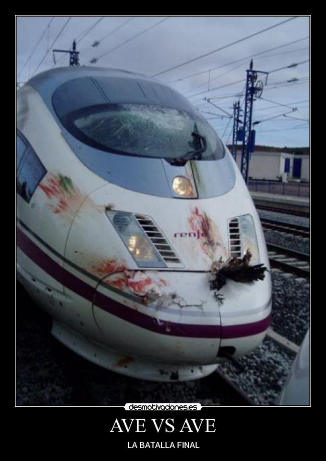 AVE VS AVE -
