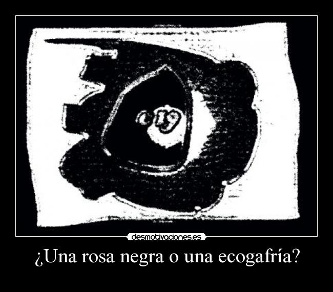 ¿Una rosa negra o una ecogafría? -