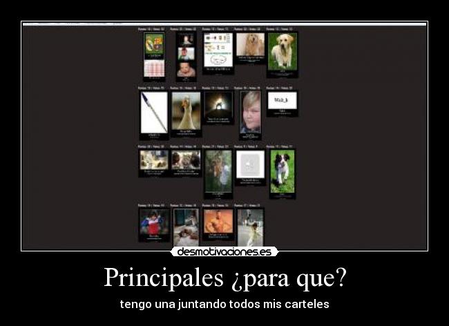 Principales ¿para que? - 