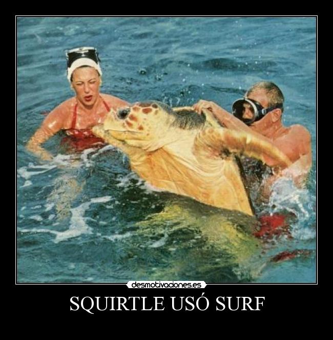 SQUIRTLE USÓ SURF -