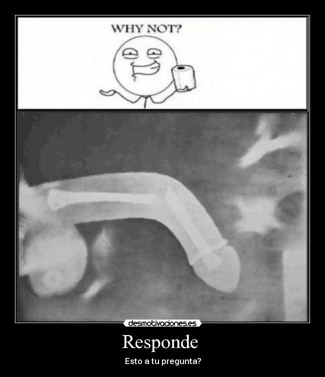Responde -
