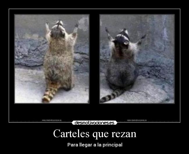 carteles pedobear desmotivaciones