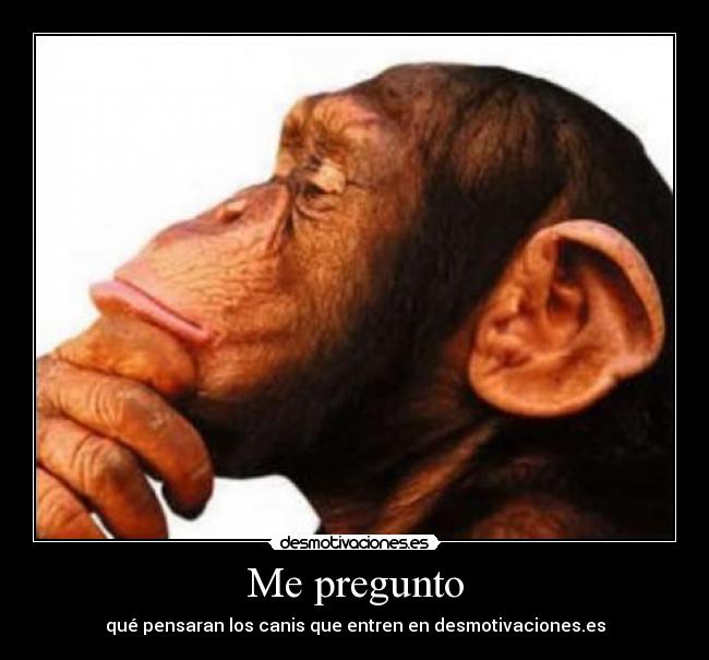 Me pregunto - 