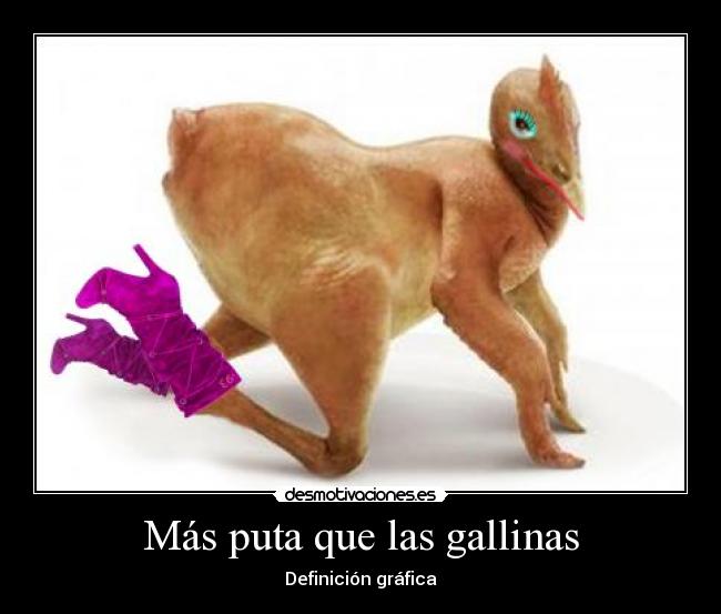 Más puta que las gallinas - 